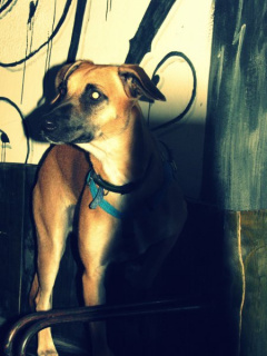 Album photo 10