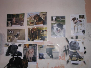 Album photo 25