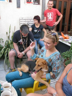 Album photo 3