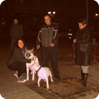 Album photo 33