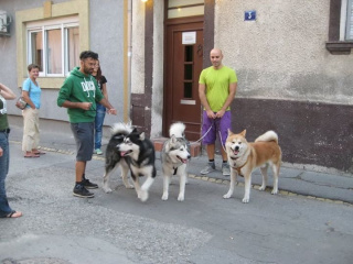 Album photo 4