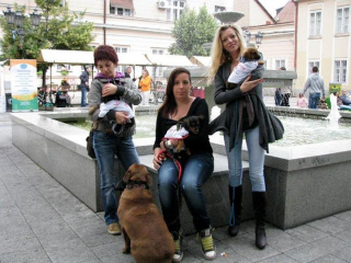 Album photo 4
