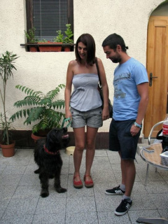 Album photo 4