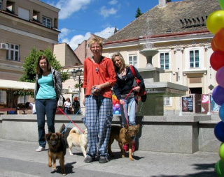 Album photo 7
