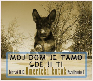 Album photo 8