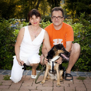 Album photo 8